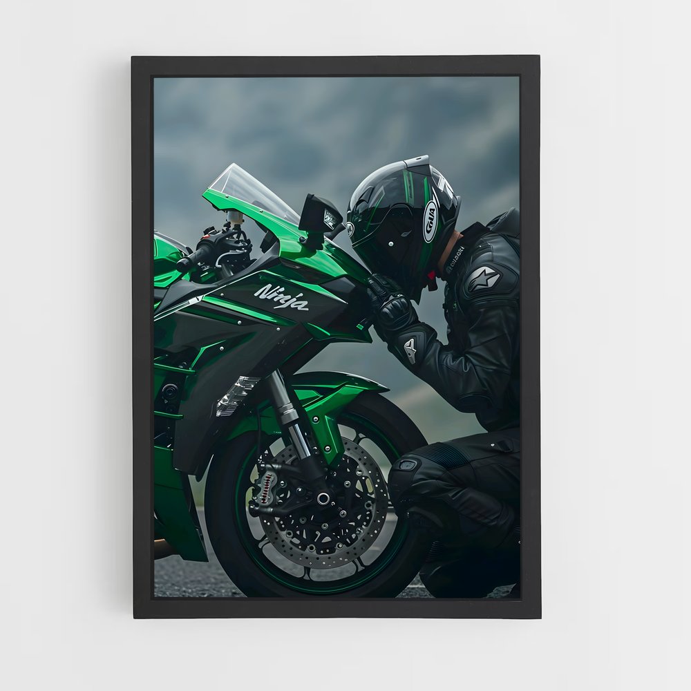 Poster Ninja Furtif H2R (vue 2)